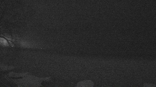 Weather camera view of Forest Lawn Beach.