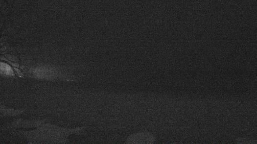 Weather camera view of Forest Lawn Beach.