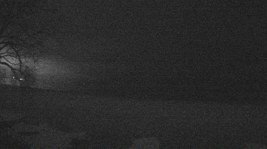 Weather camera view of Forest Lawn Beach.