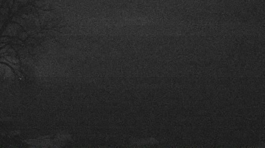 Weather camera view of Forest Lawn Beach.