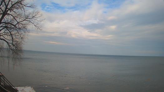 Weather camera view of Forest Lawn Beach.