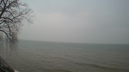 Weather camera view of Forest Lawn Beach.