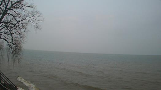 Weather camera view of Forest Lawn Beach.