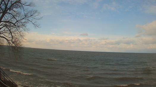 Weather camera view of Forest Lawn Beach.