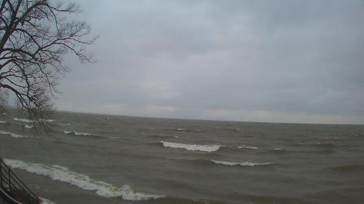 Weather camera view of Forest Lawn Beach.