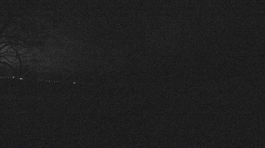 Weather camera view of Forest Lawn Beach.