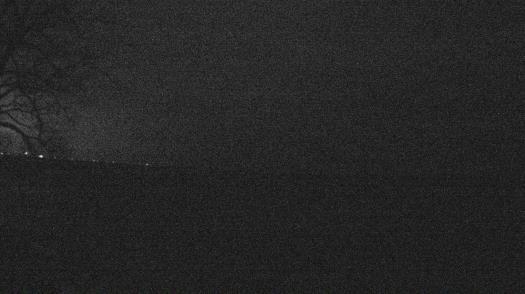 Weather camera view of Forest Lawn Beach.