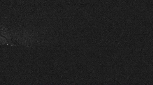 Weather camera view of Forest Lawn Beach.