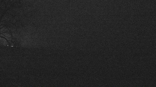 Weather camera view of Forest Lawn Beach.