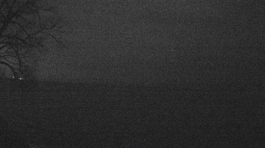 Weather camera view of Forest Lawn Beach.