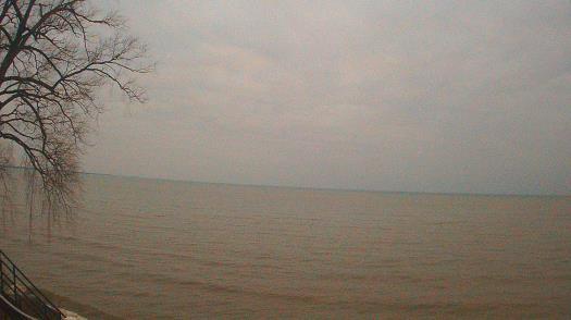 Weather camera view of Forest Lawn Beach.