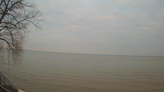 Weather camera view of Forest Lawn Beach.