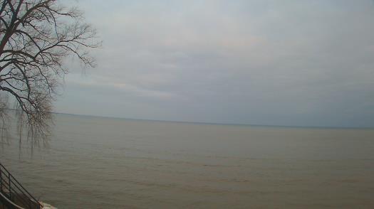 Weather camera view of Forest Lawn Beach.