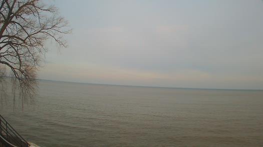 Weather camera view of Forest Lawn Beach.