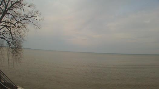 Weather camera view of Forest Lawn Beach.