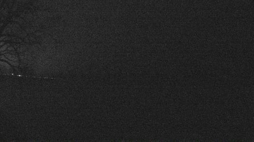 Weather camera view of Forest Lawn Beach.