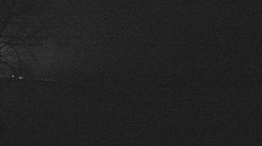 Weather camera view of Forest Lawn Beach.