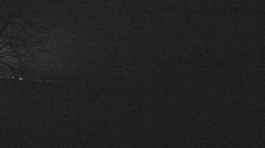 Weather camera view of Forest Lawn Beach.