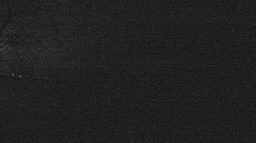 Weather camera view of Forest Lawn Beach.