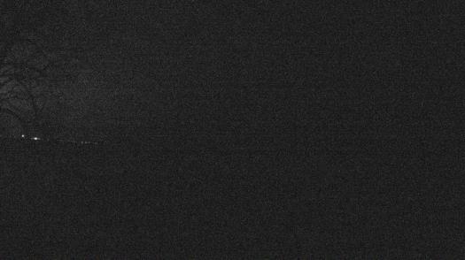 Weather camera view of Forest Lawn Beach.