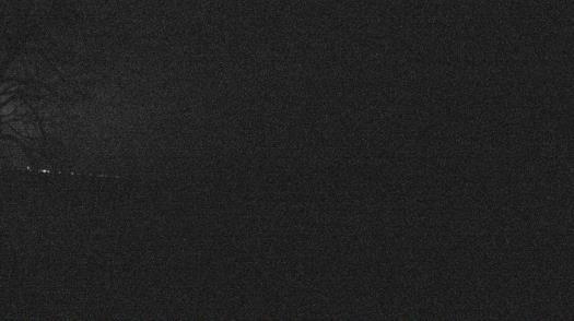 Weather camera view of Forest Lawn Beach.