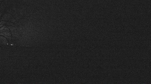 Weather camera view of Forest Lawn Beach.