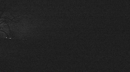 Weather camera view of Forest Lawn Beach.