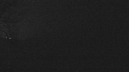 Weather camera view of Forest Lawn Beach.