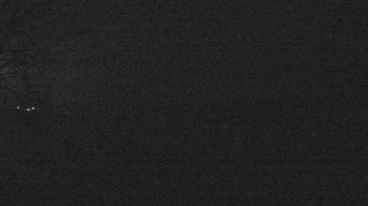 Weather camera view of Forest Lawn Beach.