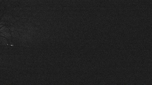 Weather camera view of Forest Lawn Beach.