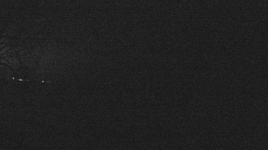 Weather camera view of Forest Lawn Beach.