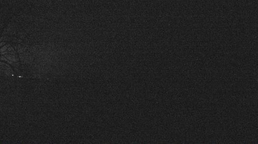 Weather camera view of Forest Lawn Beach.