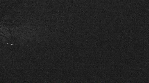 Weather camera view of Forest Lawn Beach.