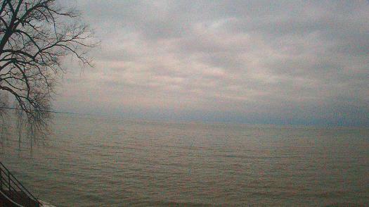 Weather camera view of Forest Lawn Beach.