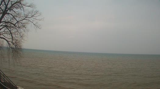 Weather camera view of Forest Lawn Beach.