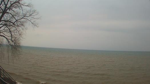 Weather camera view of Forest Lawn Beach.