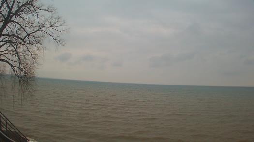 Weather camera view of Forest Lawn Beach.