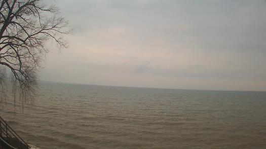 Weather camera view of Forest Lawn Beach.