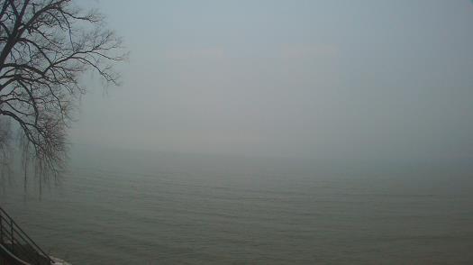 Weather camera view of Forest Lawn Beach.