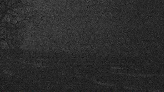 Weather camera view of Forest Lawn Beach.