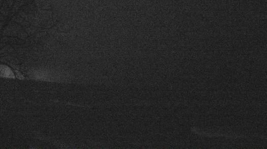 Weather camera view of Forest Lawn Beach.