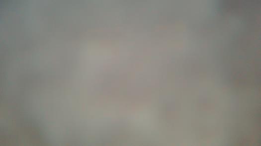 Weather camera view of Forest Lawn Beach.