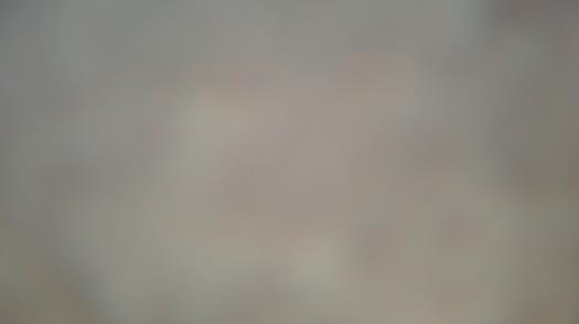 Weather camera view of Forest Lawn Beach.