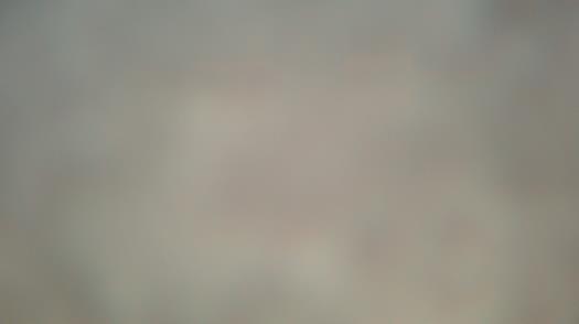 Weather camera view of Forest Lawn Beach.