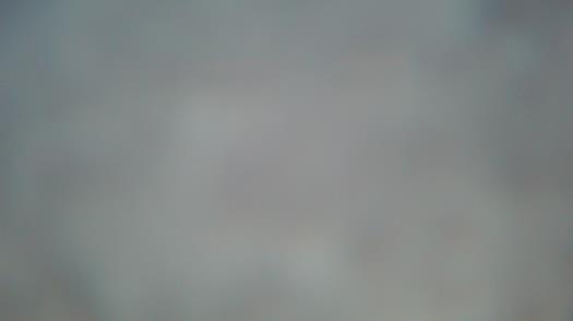 Weather camera view of Forest Lawn Beach.