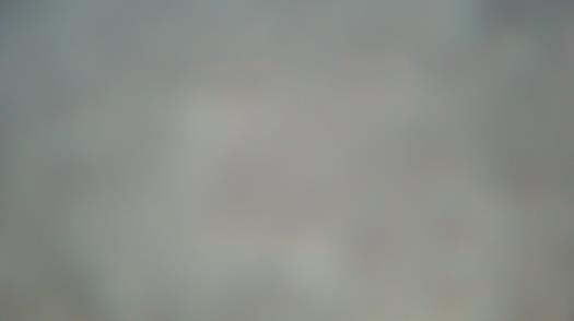 Weather camera view of Forest Lawn Beach.