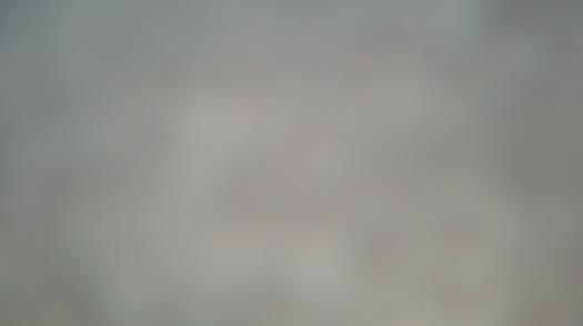 Weather camera view of Forest Lawn Beach.