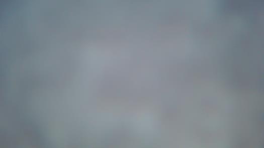 Weather camera view of Forest Lawn Beach.