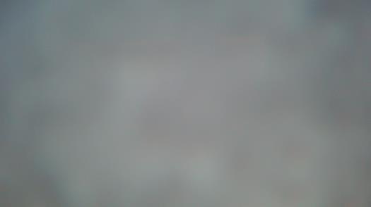 Weather camera view of Forest Lawn Beach.