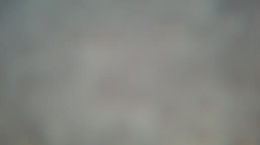 Weather camera view of Forest Lawn Beach.